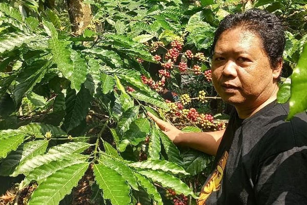 Barista Blitar Bawa Robusta Lokal Berjaya di Indonesia Green Coffee Competition 2026